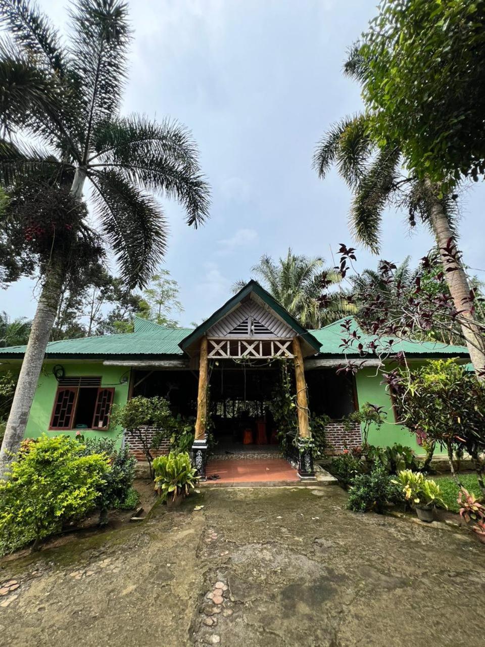 Wisma Batu Mandi Bukit Lawang Exteriör bild