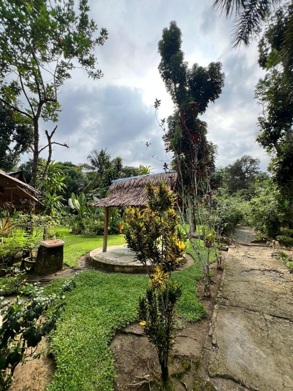 Wisma Batu Mandi Bukit Lawang Exteriör bild