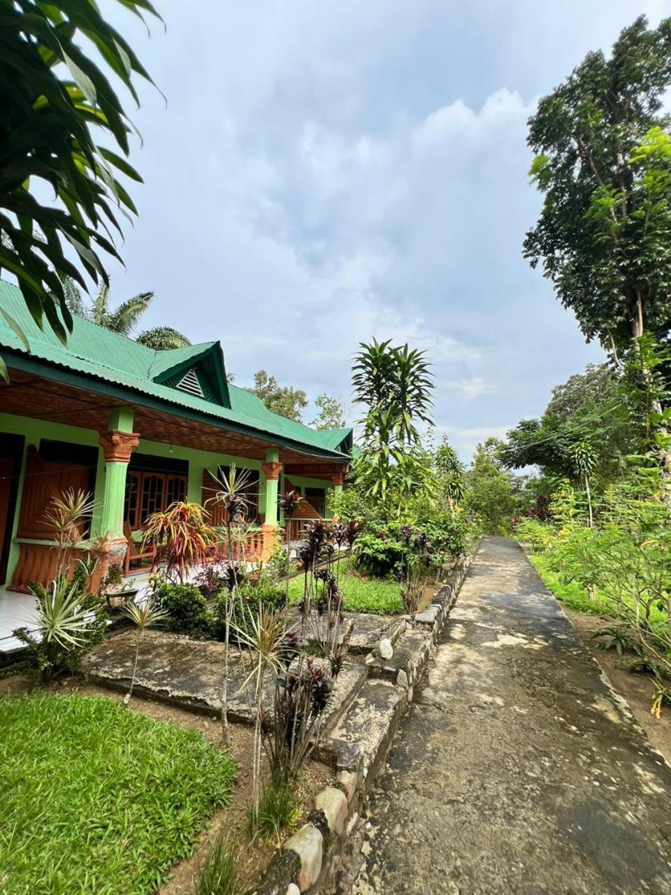 Wisma Batu Mandi Bukit Lawang Exteriör bild