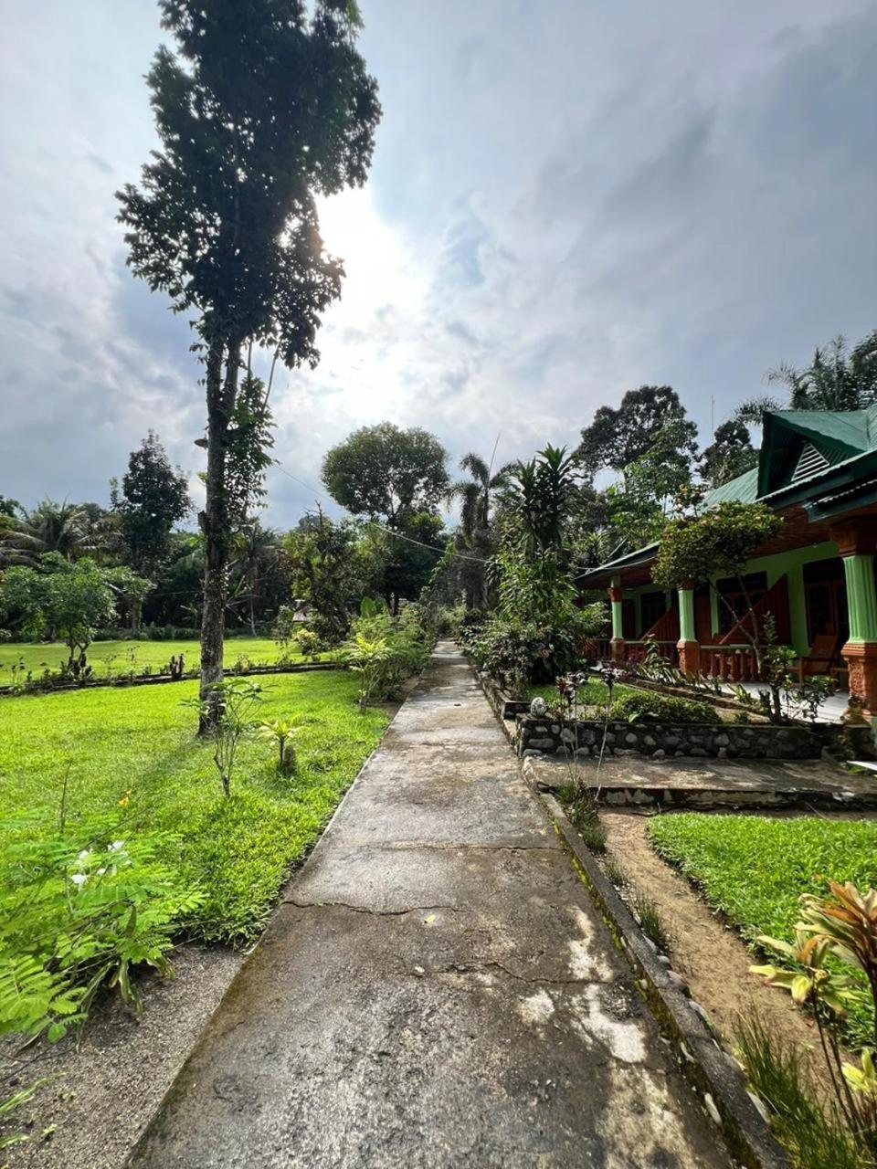 Wisma Batu Mandi Bukit Lawang Exteriör bild