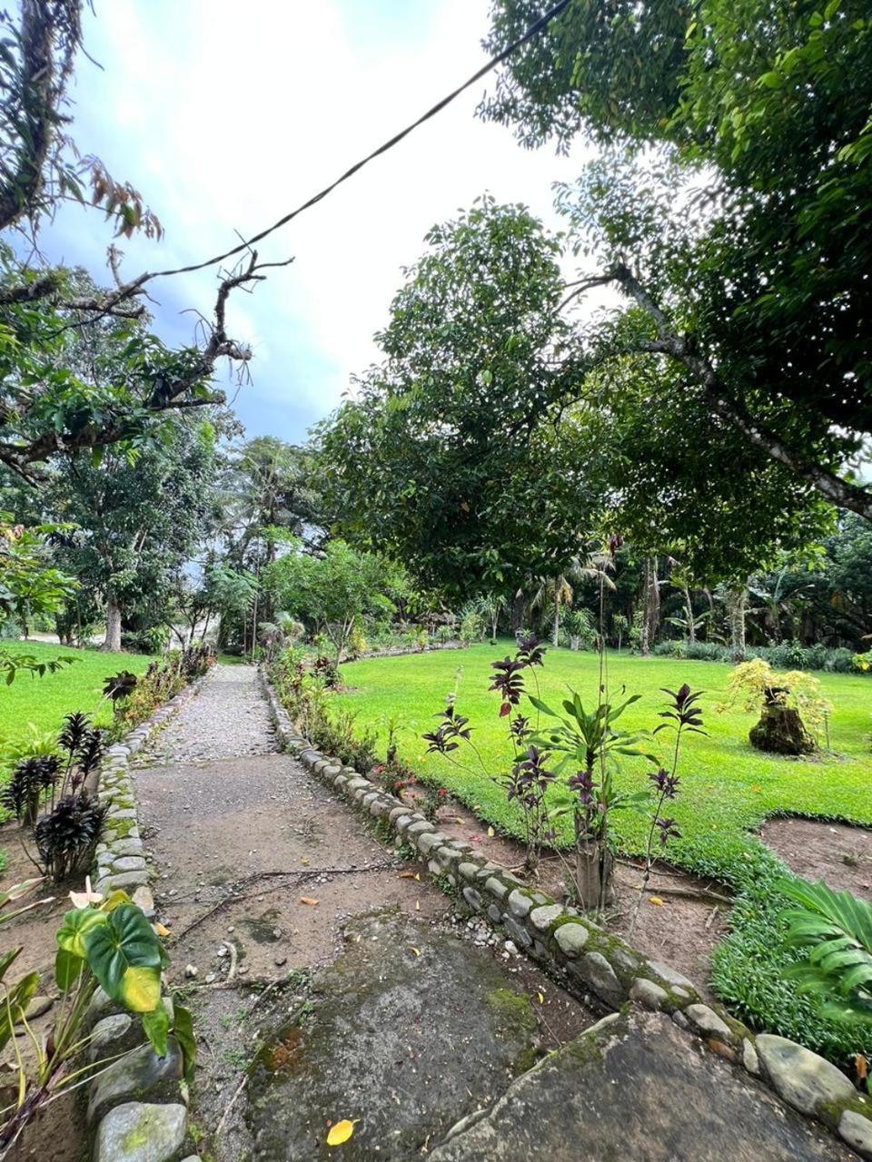 Wisma Batu Mandi Bukit Lawang Exteriör bild