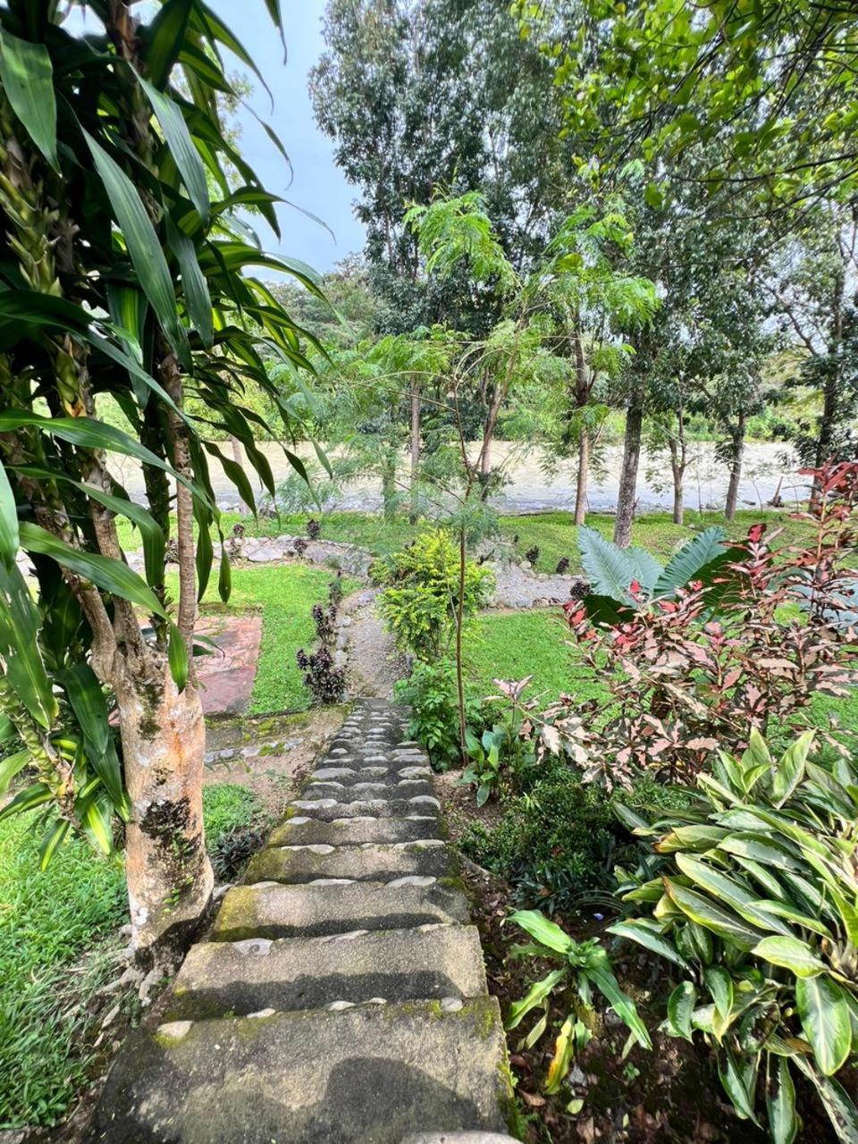 Wisma Batu Mandi Bukit Lawang Exteriör bild