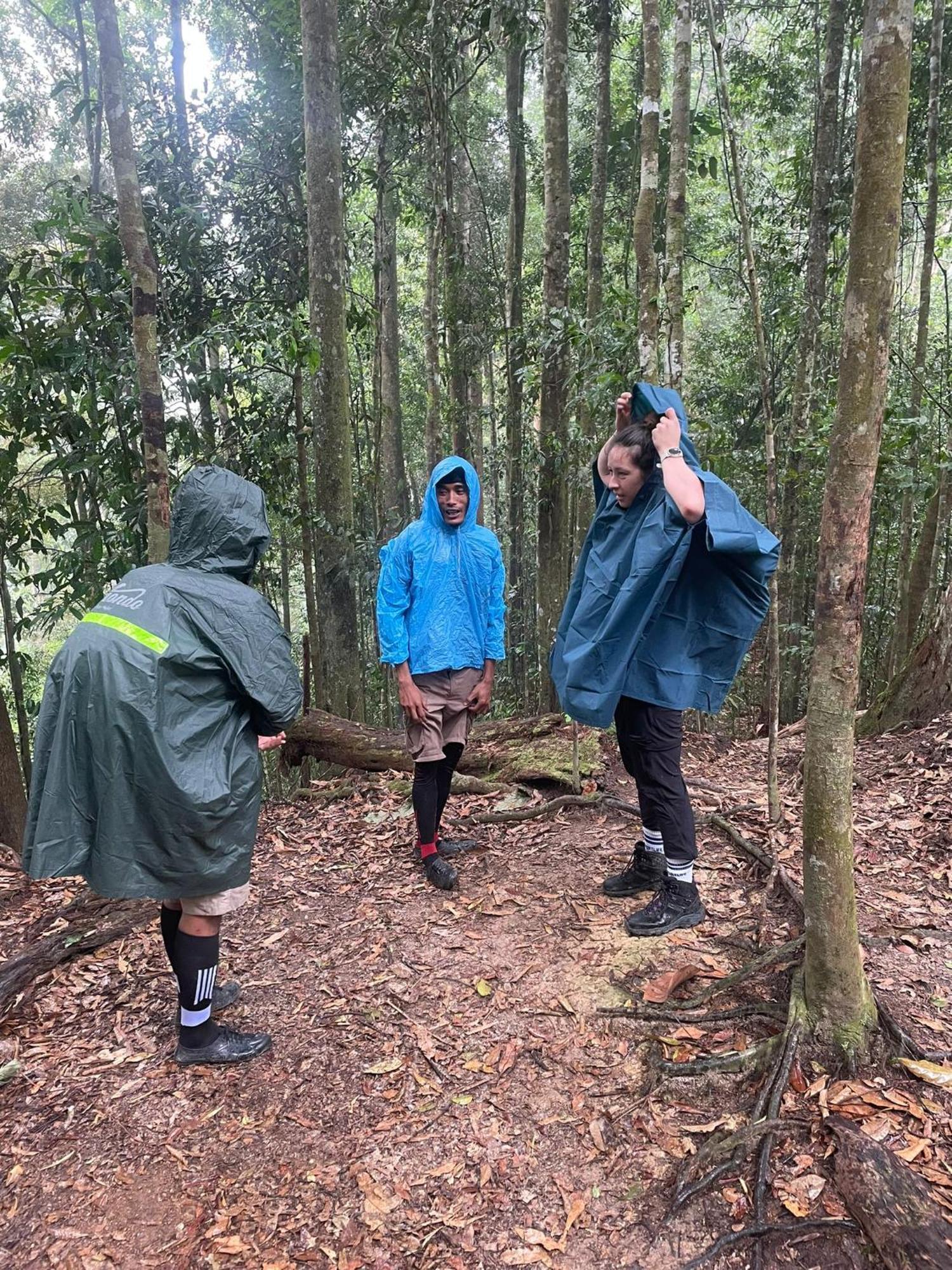 Wisma Batu Mandi Bukit Lawang Exteriör bild